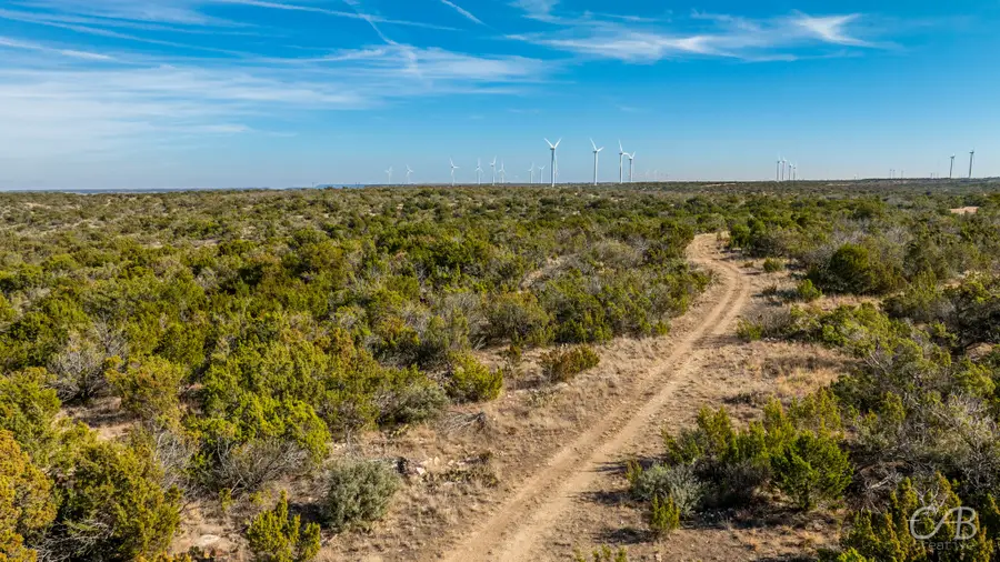 TBD Cr 296, Roscoe, TX 79545 - Image #3