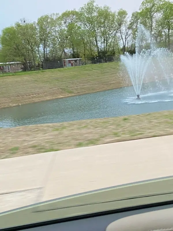 2312 Spring Side Drive, Royse City, TX 75189 - Image #3