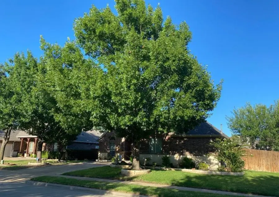 8101 Summerleaf Drive, Arlington, TX 76001 - Image #2