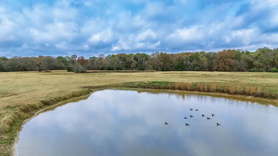 TBD Fm 154, Cooper, TX 75432 - Image #3