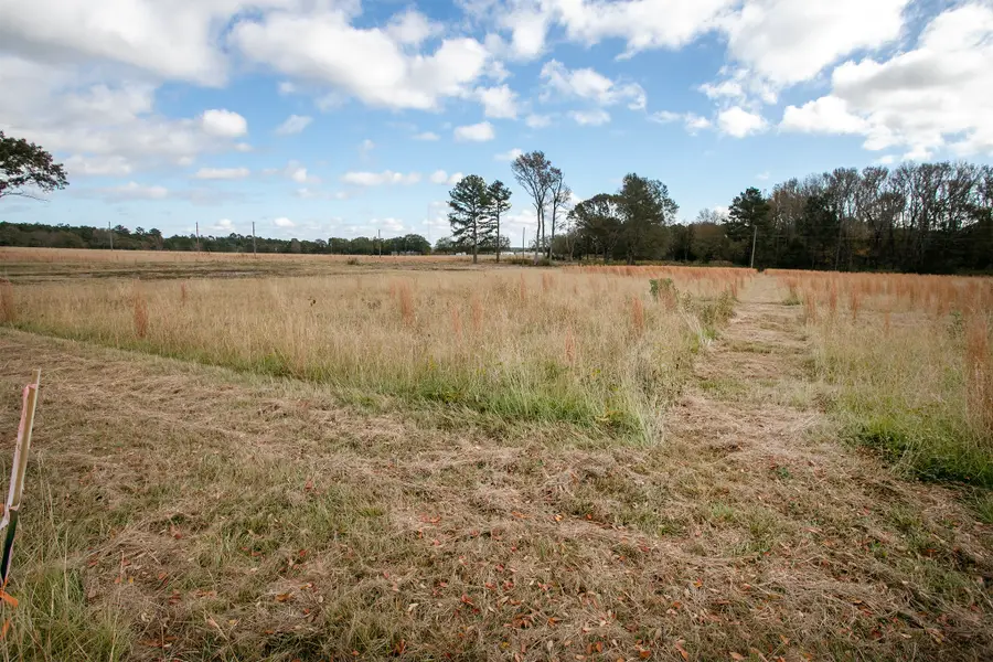 Lt 3 0 TBD Fm 1892, Frankston, TX 75763 - #3