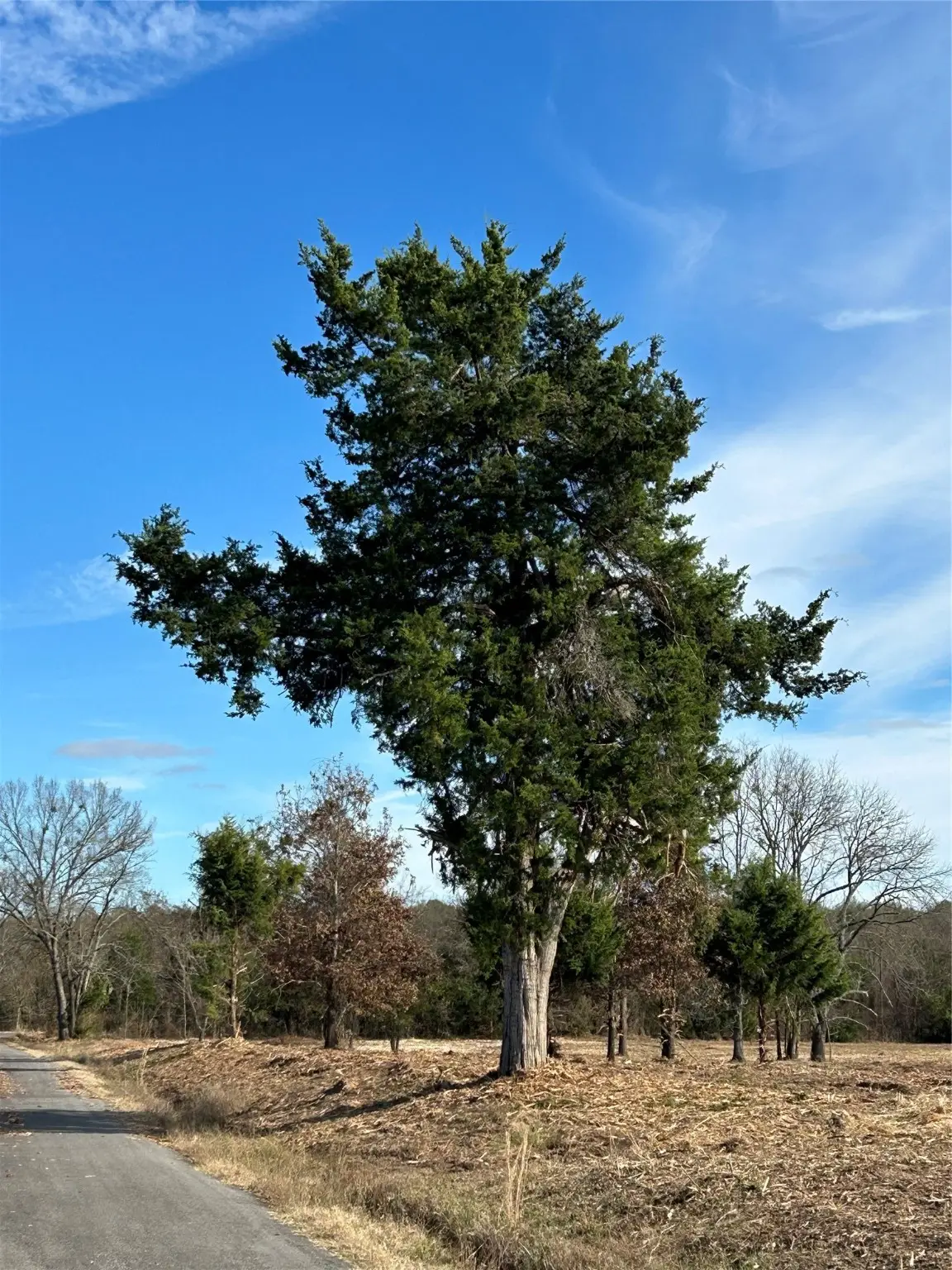 4427 County Road 45080, Arthur City, TX 75411 - Image #1