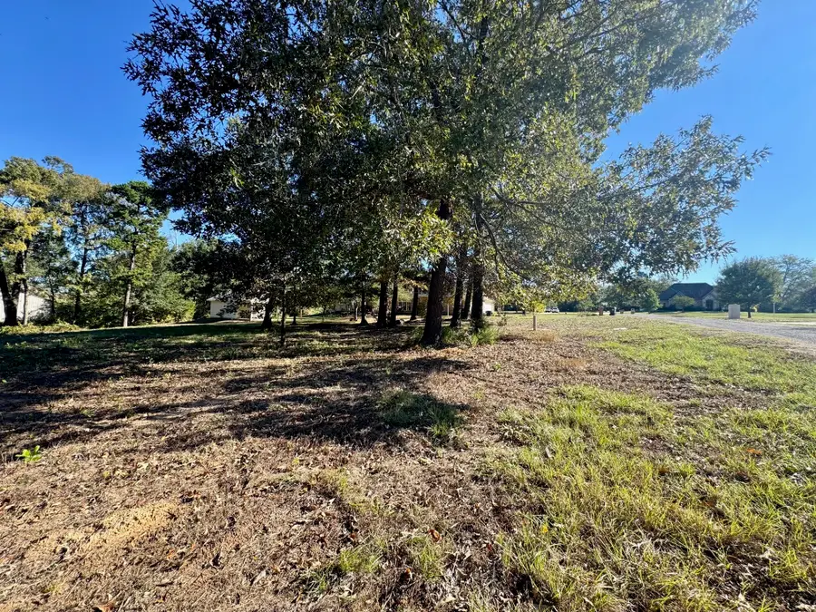 Lot 18 County Road 1216, Pittsburg, TX 75686 - #3