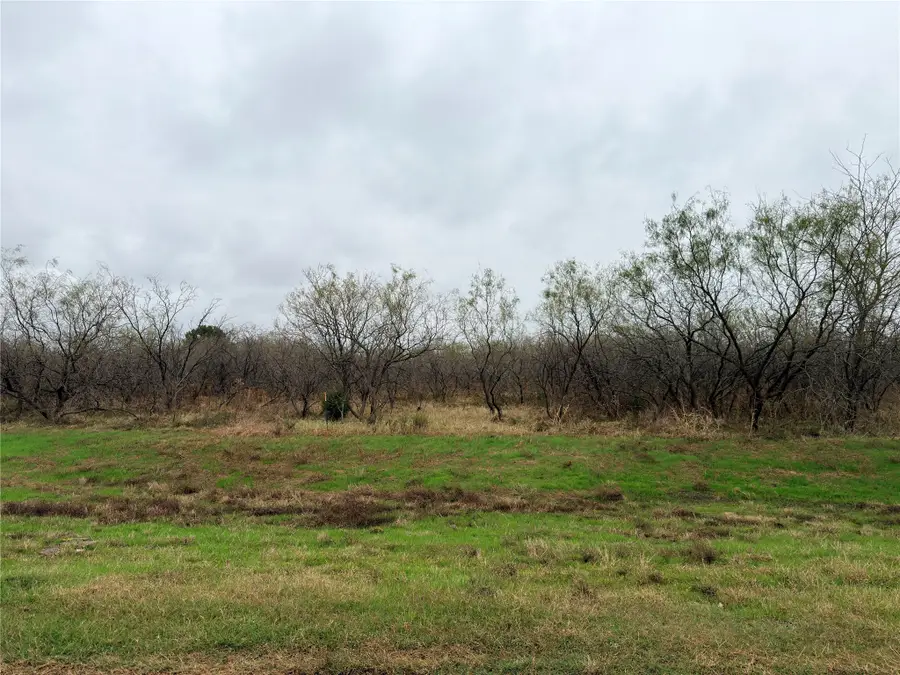 Tract 129C Hwy 31 Bypass, Corsicana, TX 75110 - Image #2