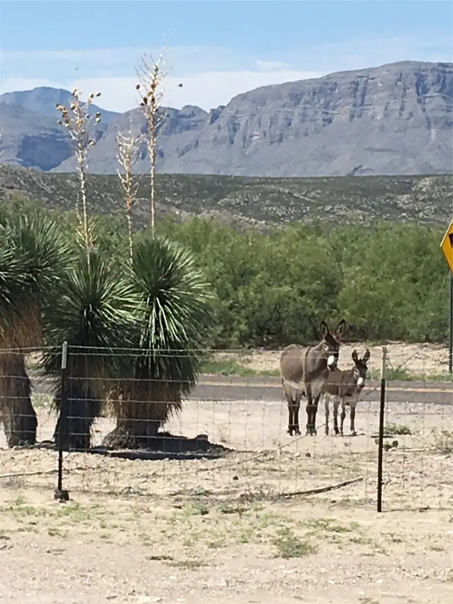 68 Hcr 63, Marfa, TX 79843 - Image #2