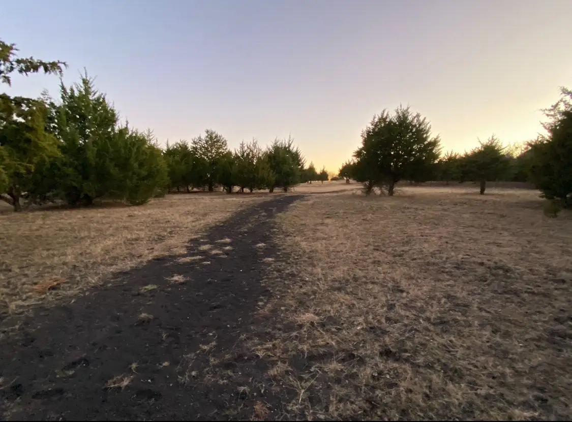 0000 Cr 4519, Wolfe City, TX 75496 - Image #1