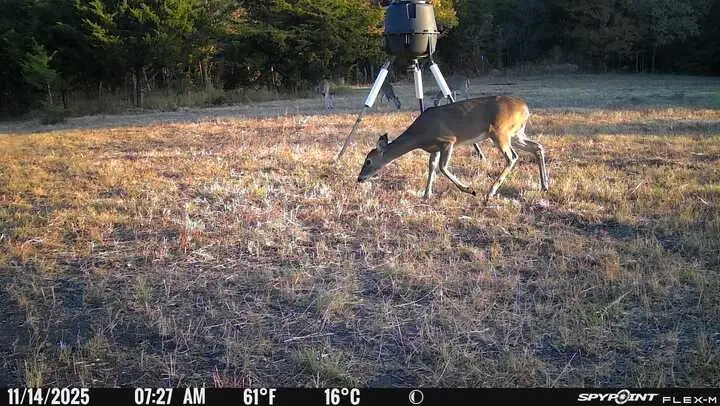 0000 Cr 4519, Wolfe City, TX 75496 - Image #2