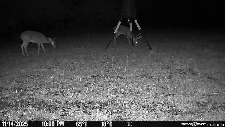 0000 Cr 4519, Wolfe City, TX 75496 - Image #3