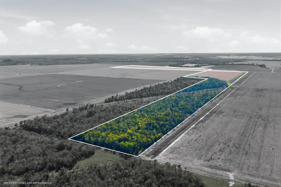 TBD County Road 264, Cameron, TX 76520 - Image #2