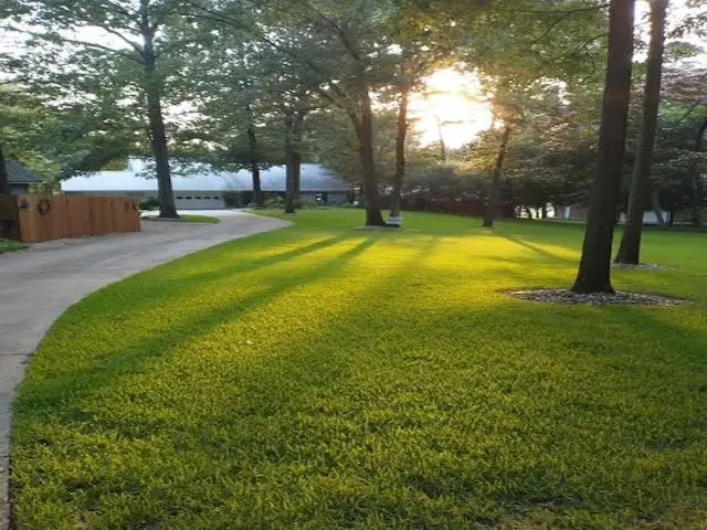 190 County Road 2452, Leesburg Newsome, TX 75686 - Image #1