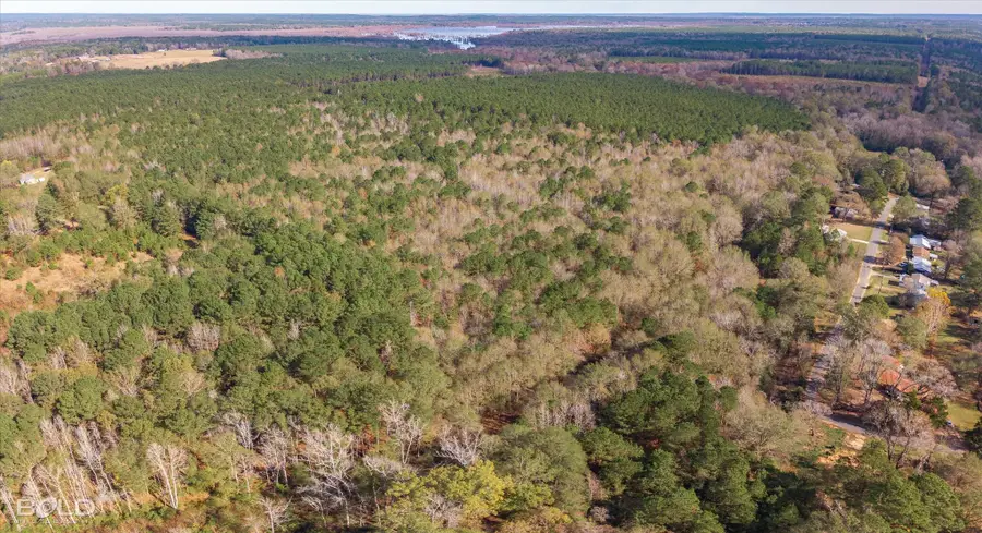 0 Camelia Street, Vivian, LA 71082 - Image #2