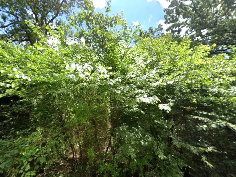 0 Lakeview Drive, Quinlan, TX 75474 - Image #3