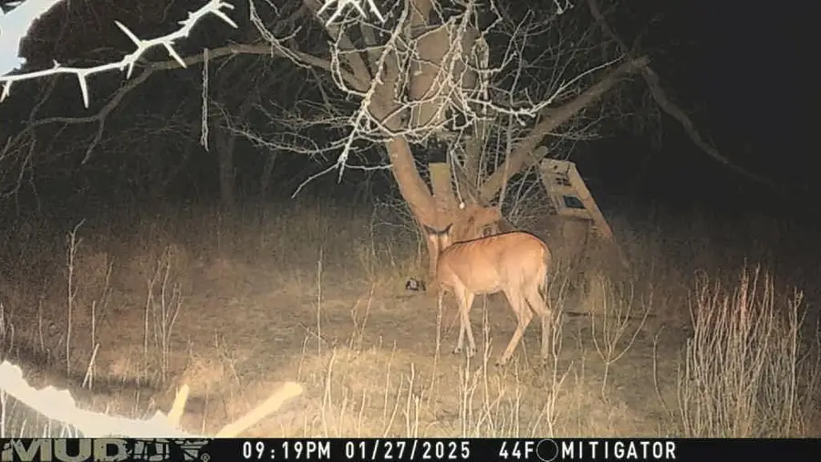 15110 County Road 2250, Dawson, TX 76639 - Image #2