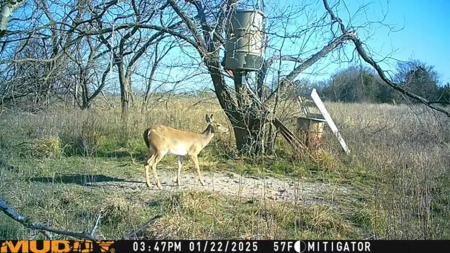 15110 County Road 2250, Dawson, TX 76639 - Image #3