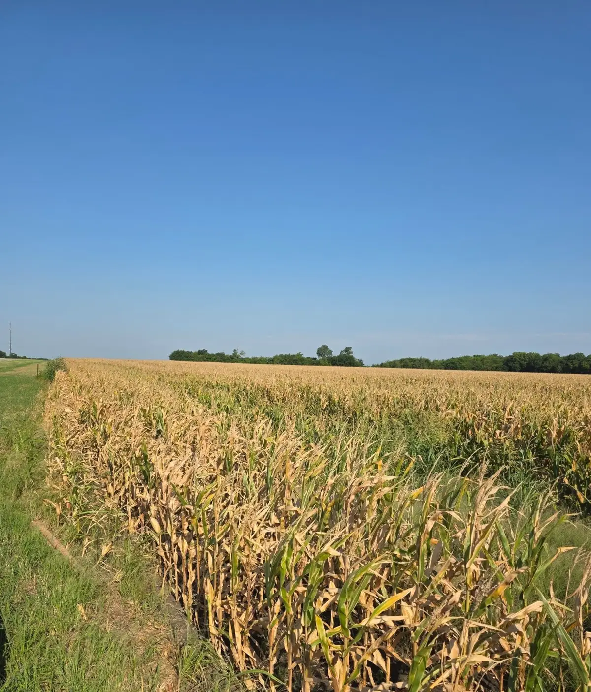 0000 Hwy 82, Honey Grove, TX 75446 - Image #1