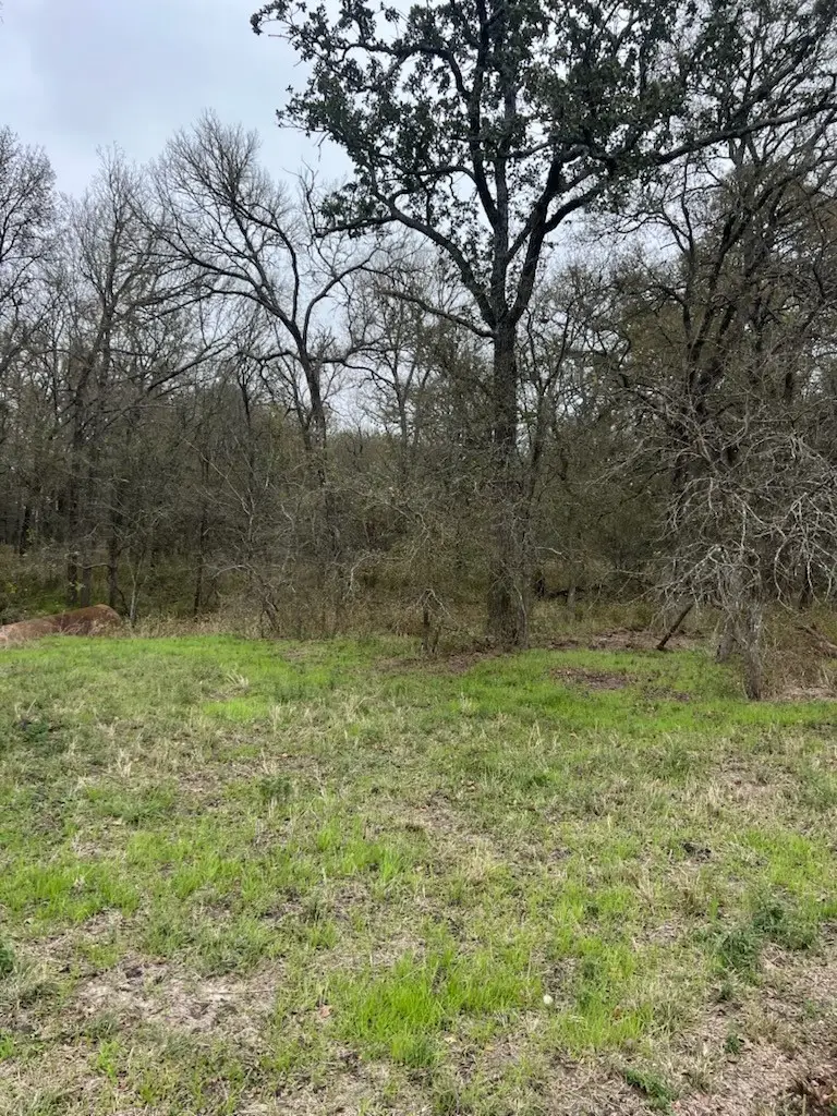 TBD County Road 387, Lott, TX 76656 - Image #3