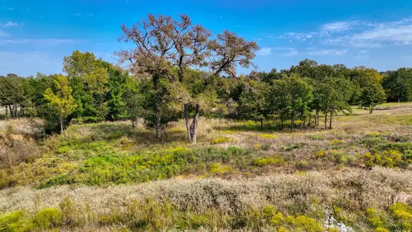 LOT # 82 Valley Oak Court, Springtown, TX 76082