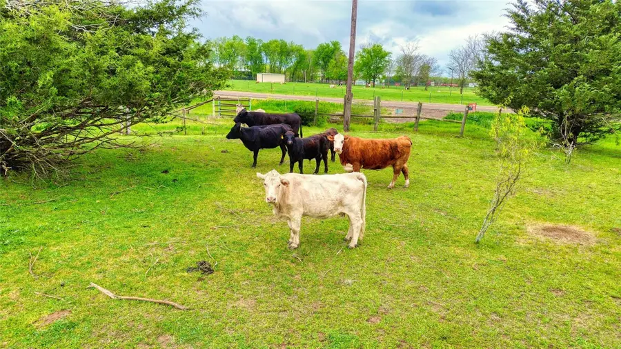 5921 Fm 636, Kerens, TX 75144 - Image #2