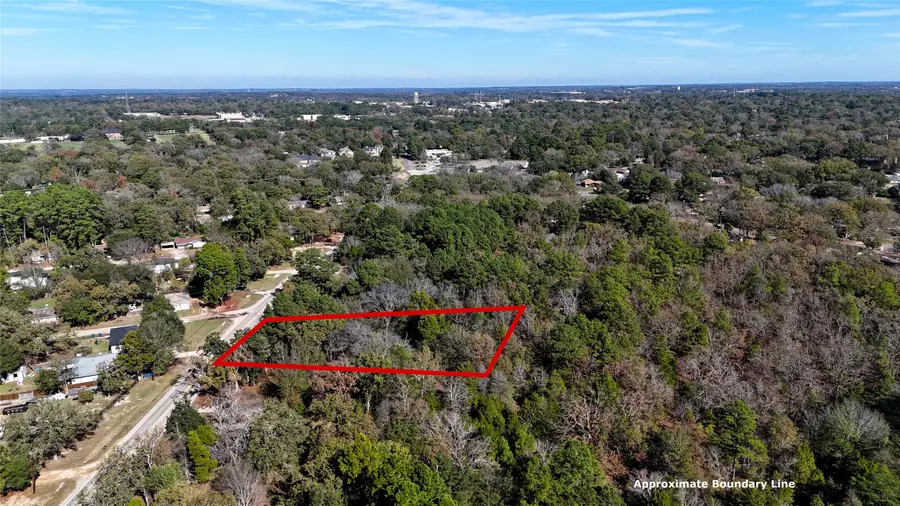 905 W Cayuga Drive, Athens, TX 75751 - Image #3