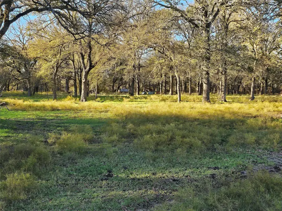 1447 Red Gate Road, Mart, TX 76664 - Image #3