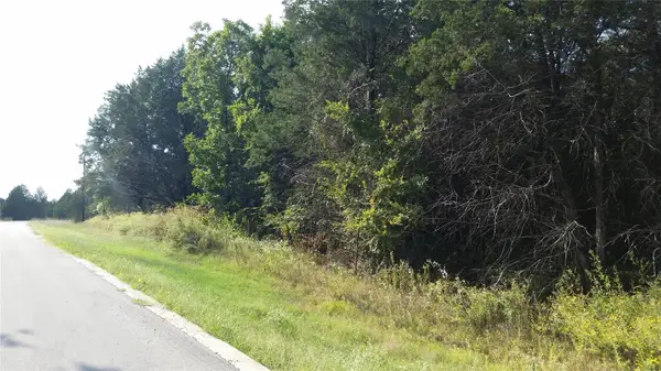 lot 16 Dublin Circle, Gordonville, TX 76245
