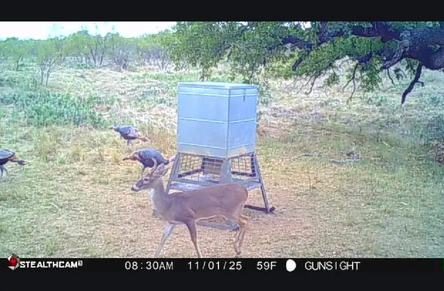 TBD County Road 154, Breckenridge, TX 76424 - Image #3