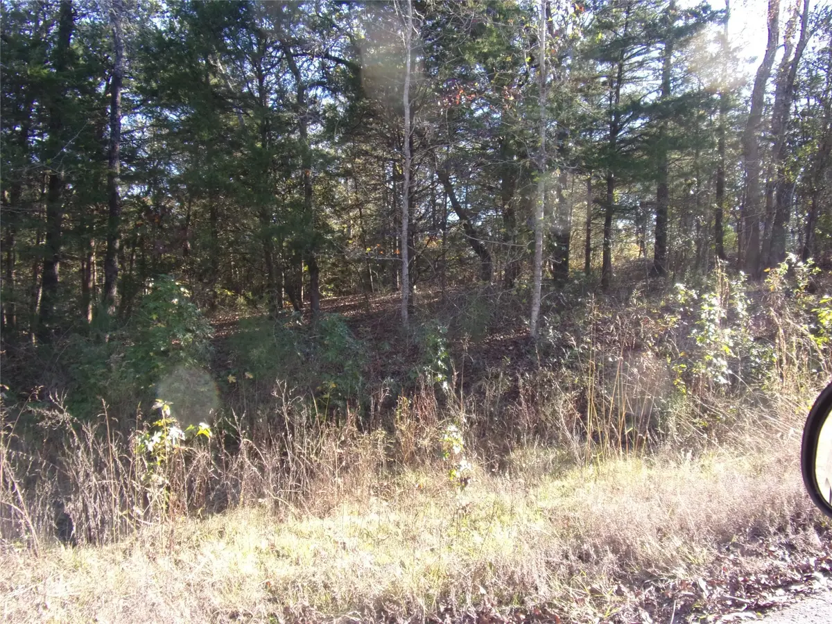 000 Woodcreek Drive, Murchison, TX 75778 - Image #1