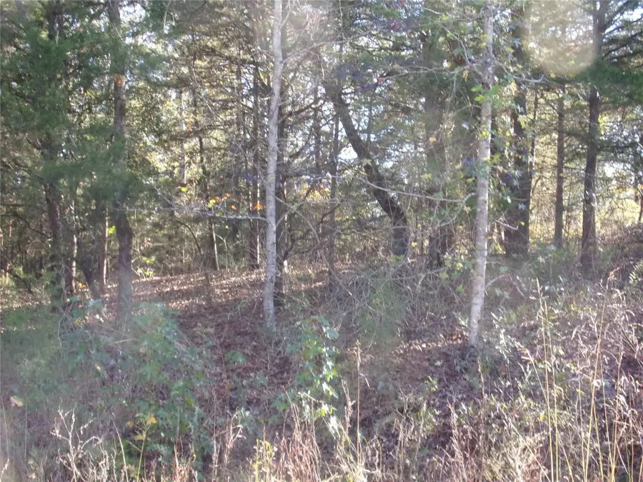 000 Woodcreek Drive, Murchison, TX 75778 - Image #2