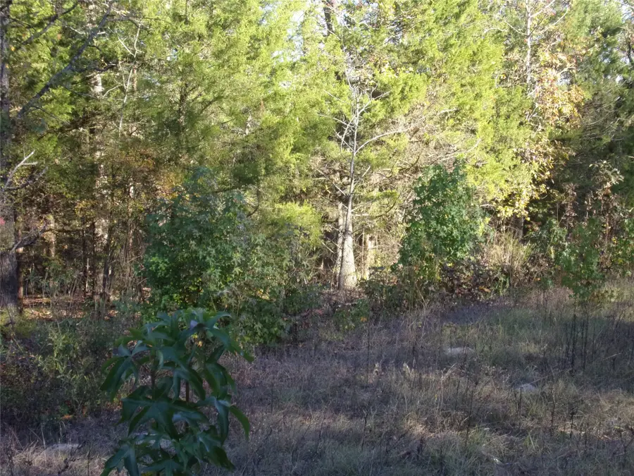 000 Woodcreek Drive, Murchison, TX 75778 - Image #3