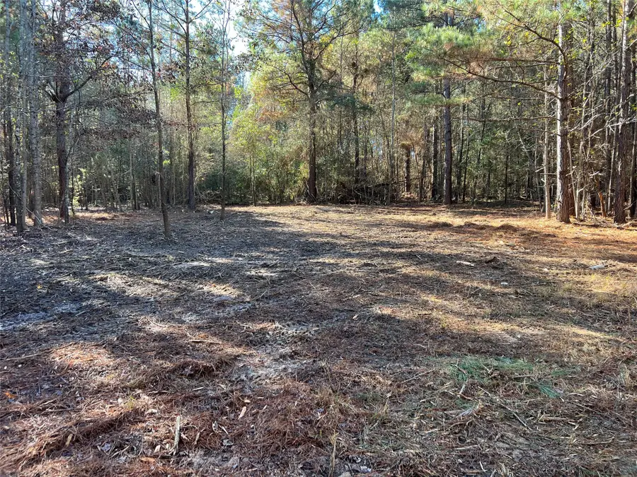 TBD Fm 130, Hughes Springs, TX 75656 - #2