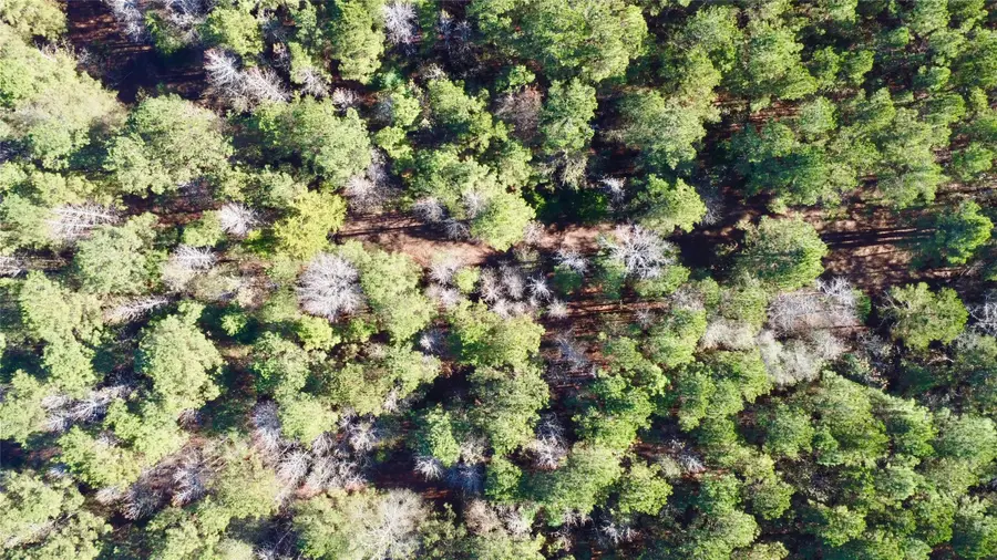 TBD Cr 2921, Hughes Springs, TX 75656 - #3