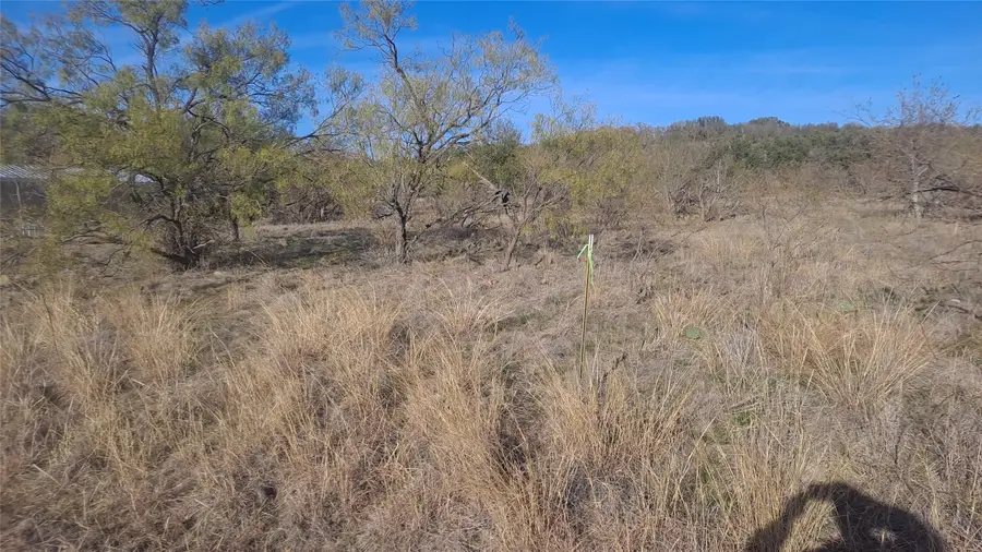 0 Oak Meadow Drive, May, TX 76857 - Image #2