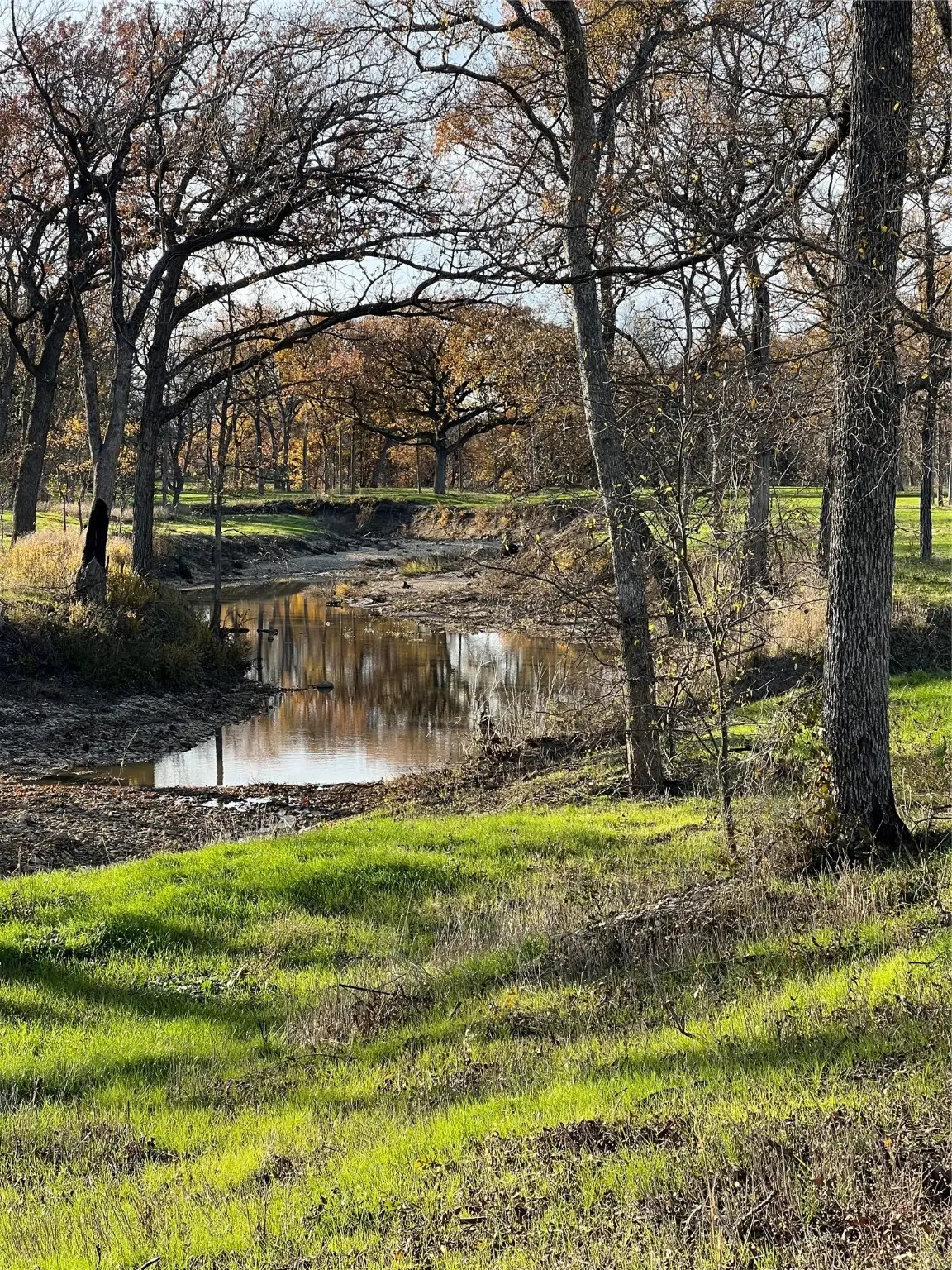 TBD Fm 2071, Gainesville, TX 76240 - Image #1