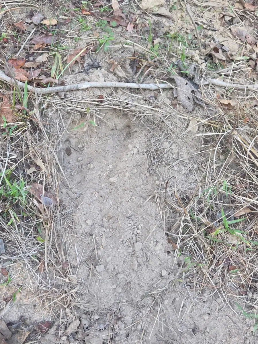 3 Acres TBD County Road 3117, Clarksville, TX 75426 - Image #3