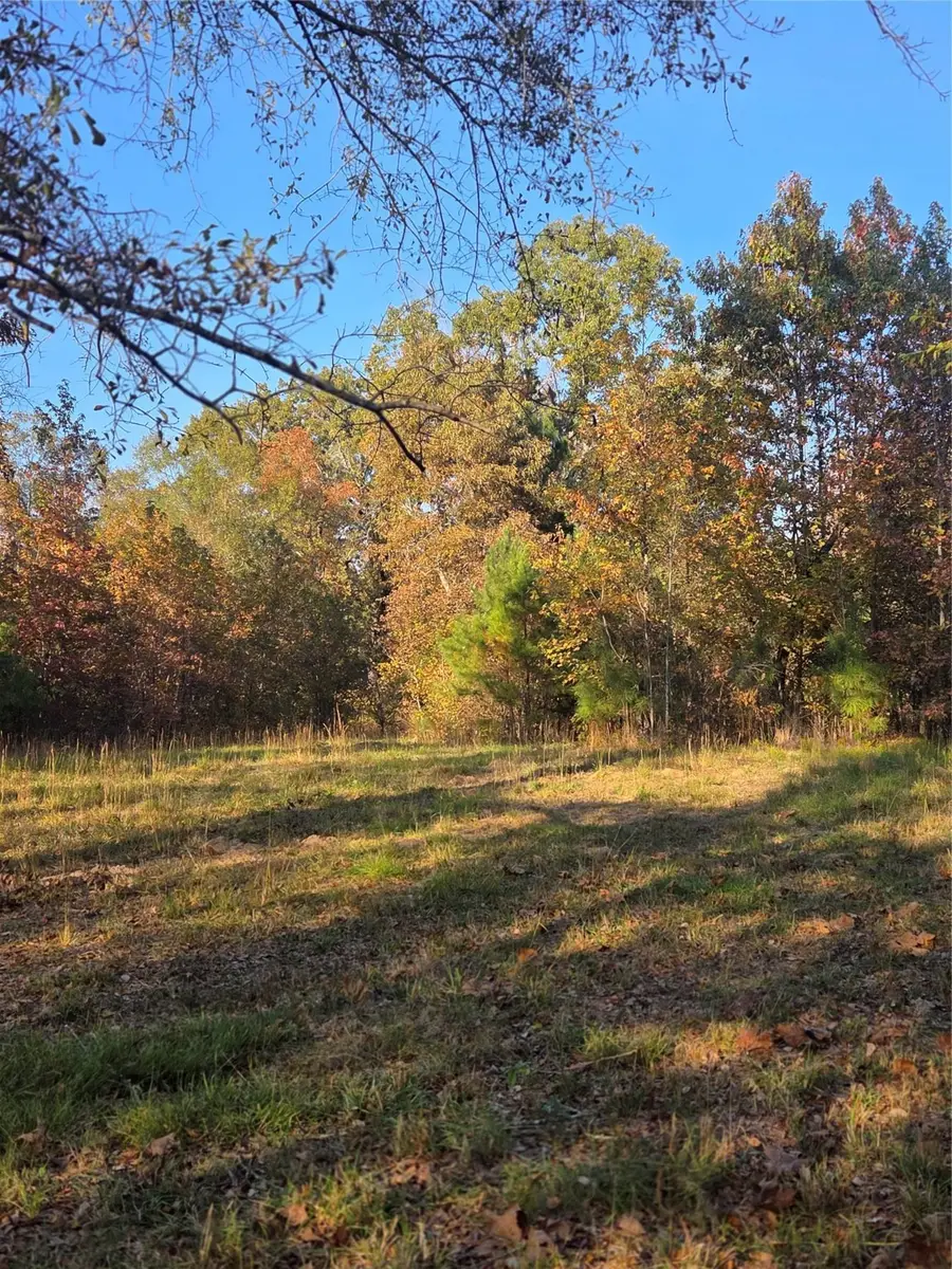 5.5 Acres TBD County Road 3117, Clarksville, TX 75426 - Image #3
