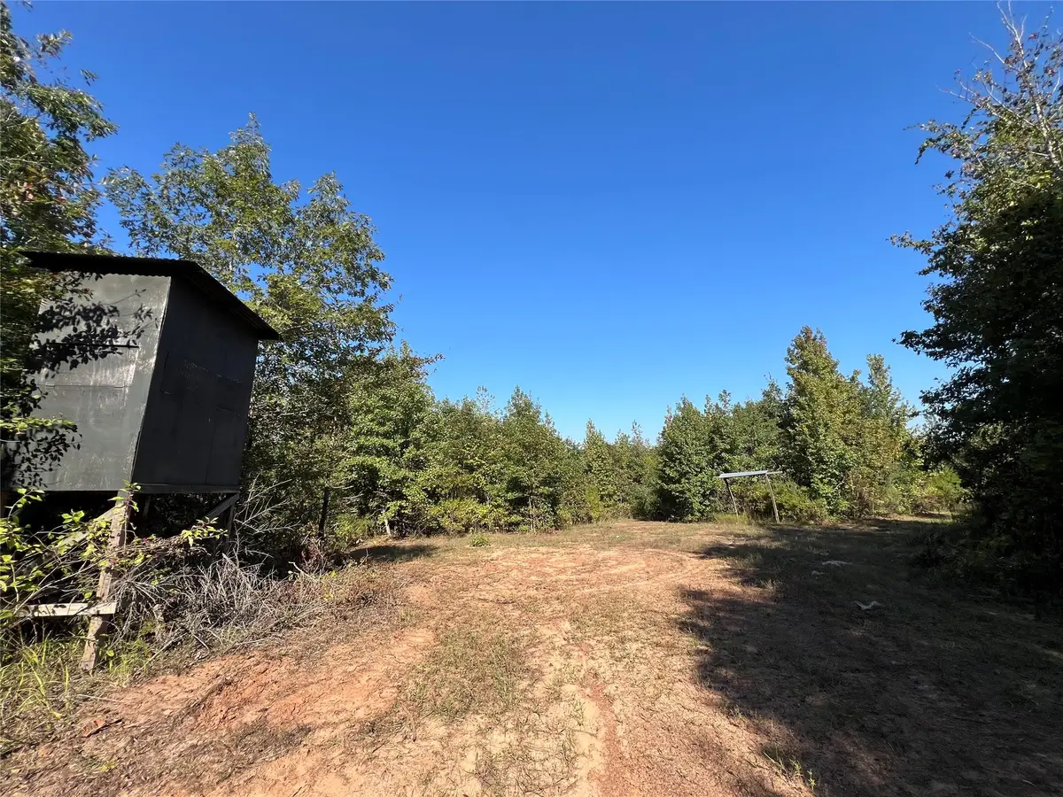 TBD Cr 1579-1, Avinger, TX 75630 - #1