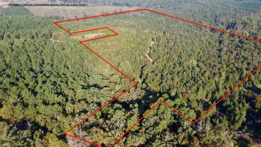 TBD Cr 1579-1, Avinger, TX 75630 - #3