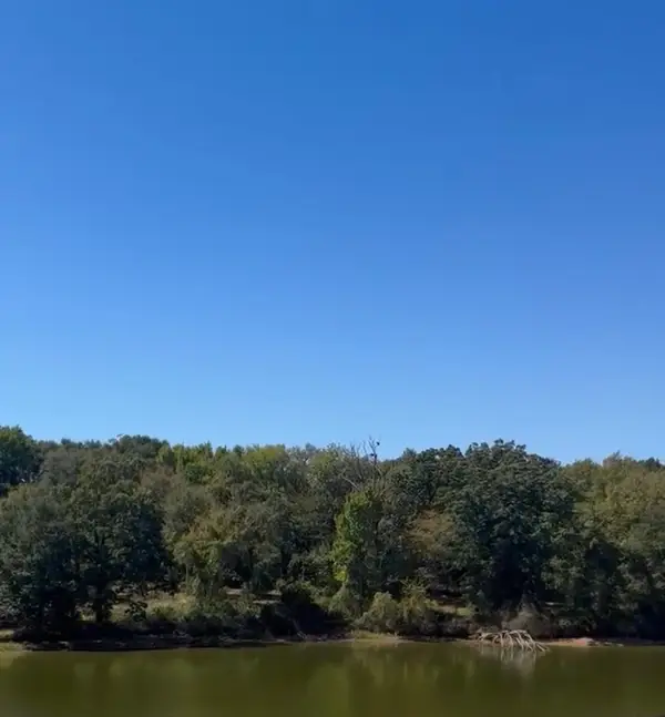 1406 E Royall Boulevard, Caney City, TX 75148