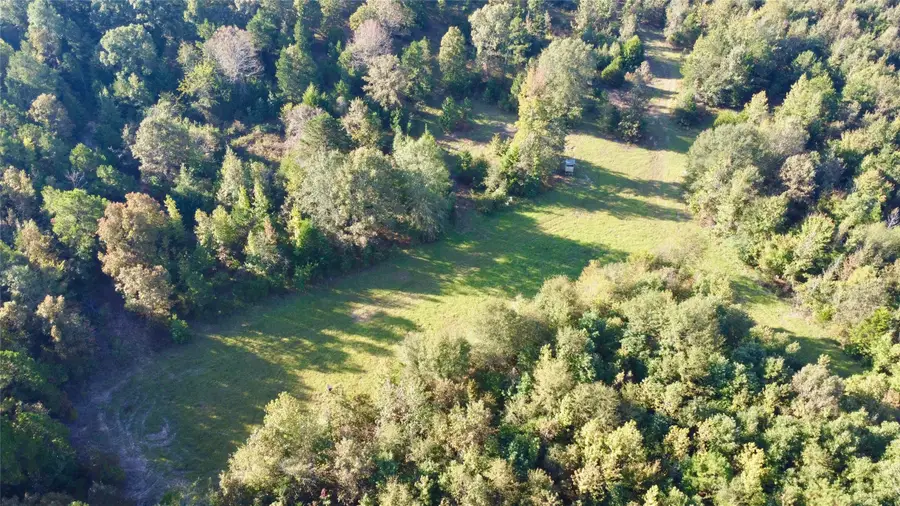 TBD Cr 1579-2, Avinger, TX 75630 - #2