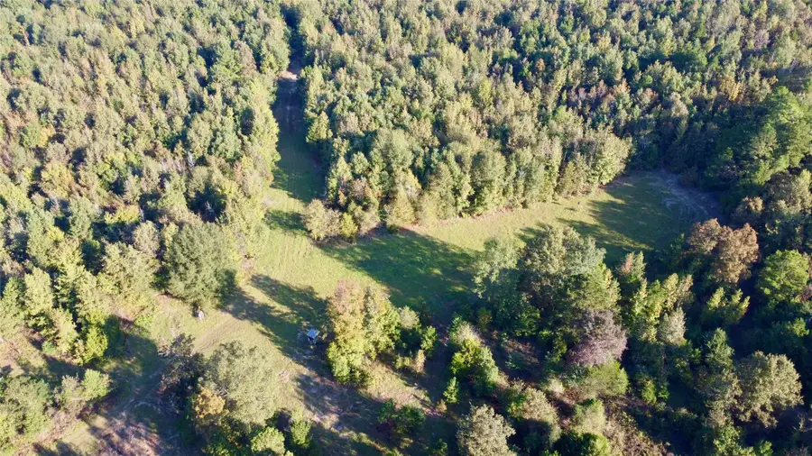 TBD Cr 1579-2, Avinger, TX 75630 - #3