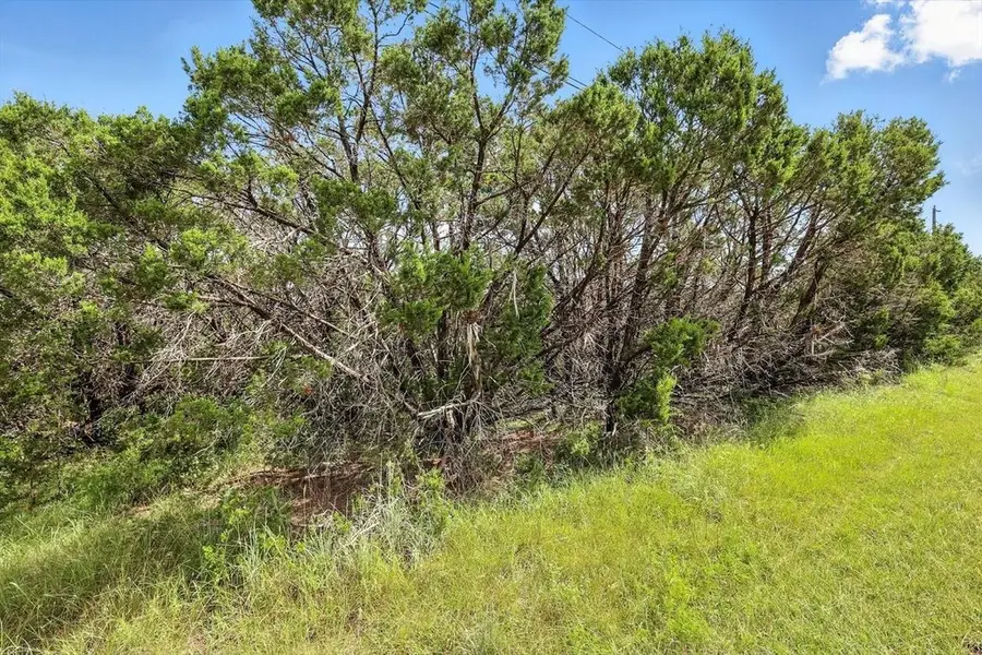 9100 W Bluestem Court, Cleburne, TX 76033 - Image #2