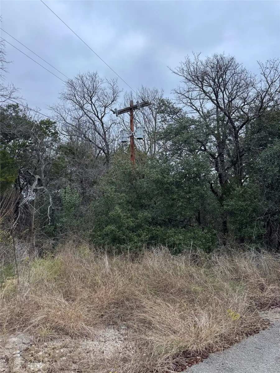 1013 Comanche Cove Drive, Granbury, TX 76048 - Image #3