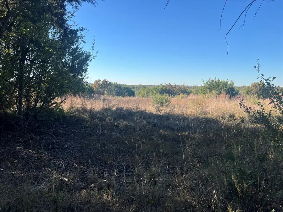 1000 Carsyn Creek Road, Weatherford, TX 76087 - Image #3