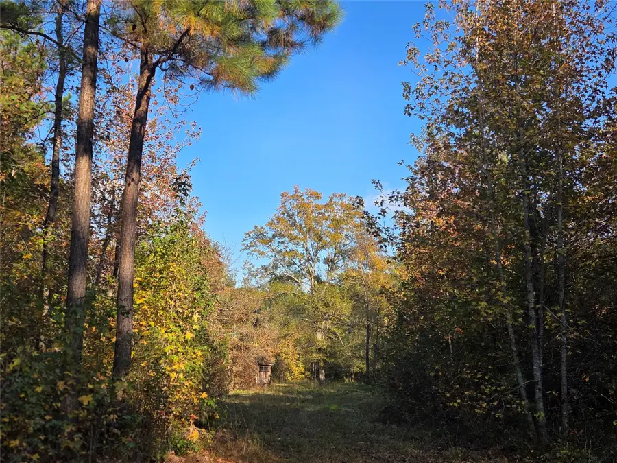 7 Acres TBD County Road 3117, Clarksville, TX 75426 - Image #2