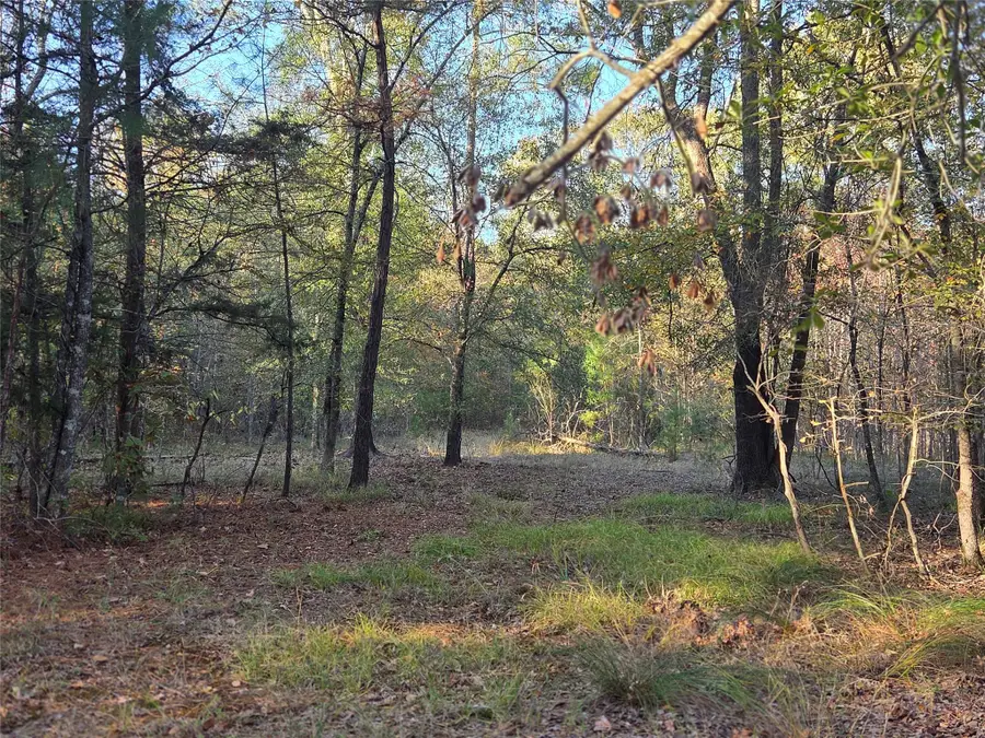 7 Acres TBD County Road 3117, Clarksville, TX 75426 - Image #3
