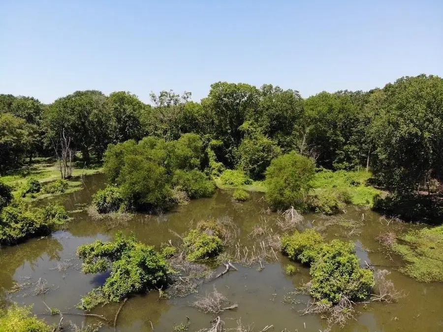 Lot 5 Dove Drive, Quinlan, TX 75474 - Image #3