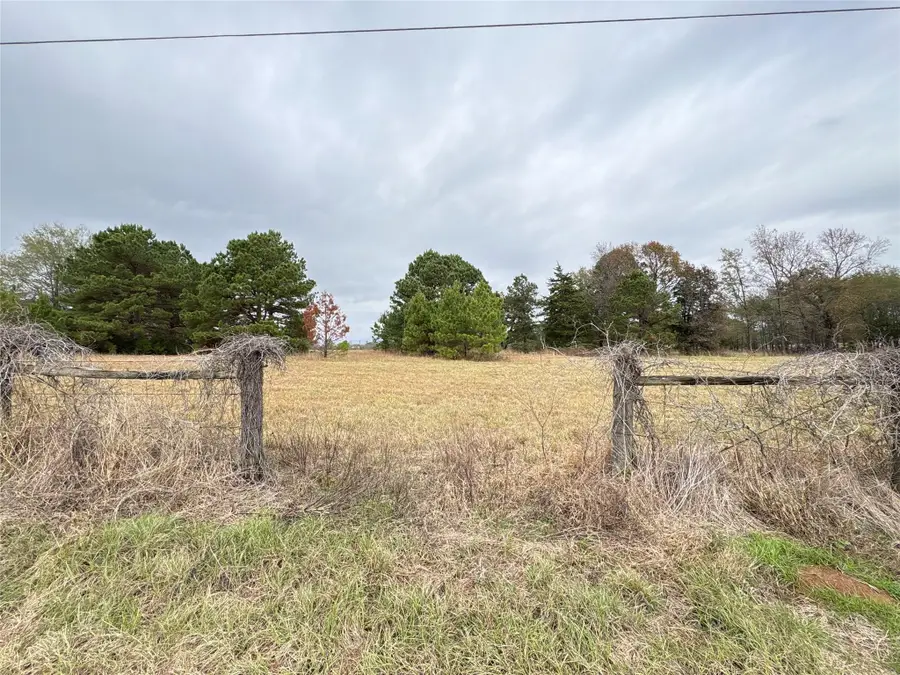 TBD Cr 4301 Plainview Rd, Omaha, TX 75571 - Image #2