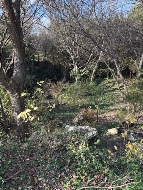 2009 Valley View Drive, Cedar Hill, TX 75104 - Image #2