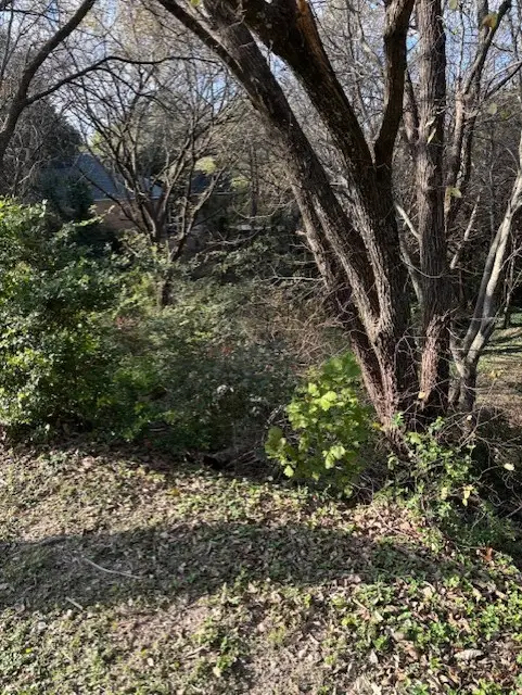 2009 Valley View Drive, Cedar Hill, TX 75104 - Image #3