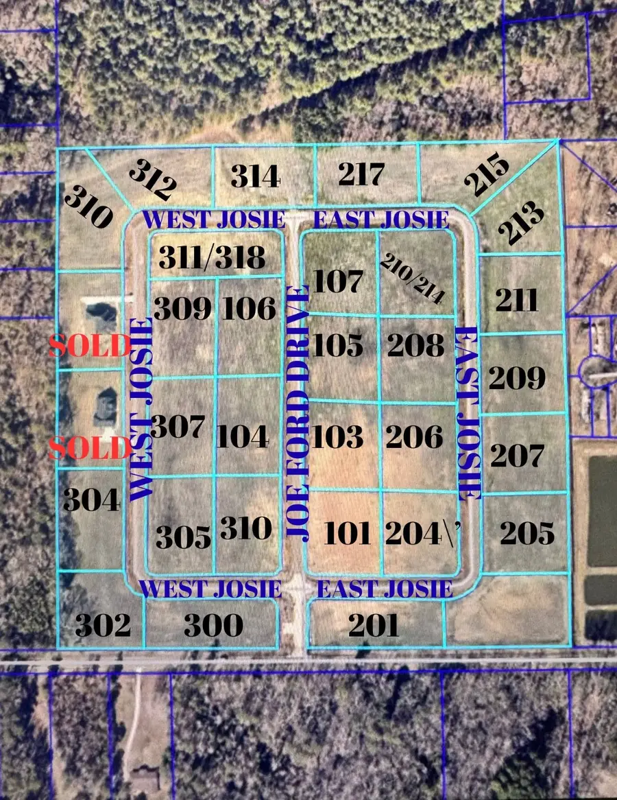 209 E Josie Lane, Haughton, LA 71037 - Image #2